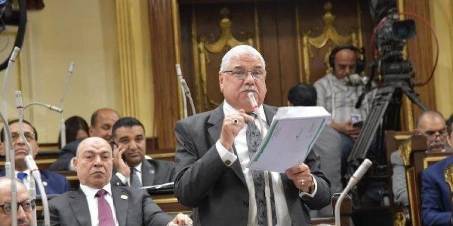 برلماني: تشجيع الصناعات هدف استراتيجي للحكومة خلال المرحلة المقبلة - هرم مصر