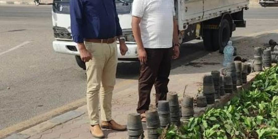 تعرف على أحدث مشروعات الزراعة فى أحياء مدينة الشروق.. بالصور - هرم مصر