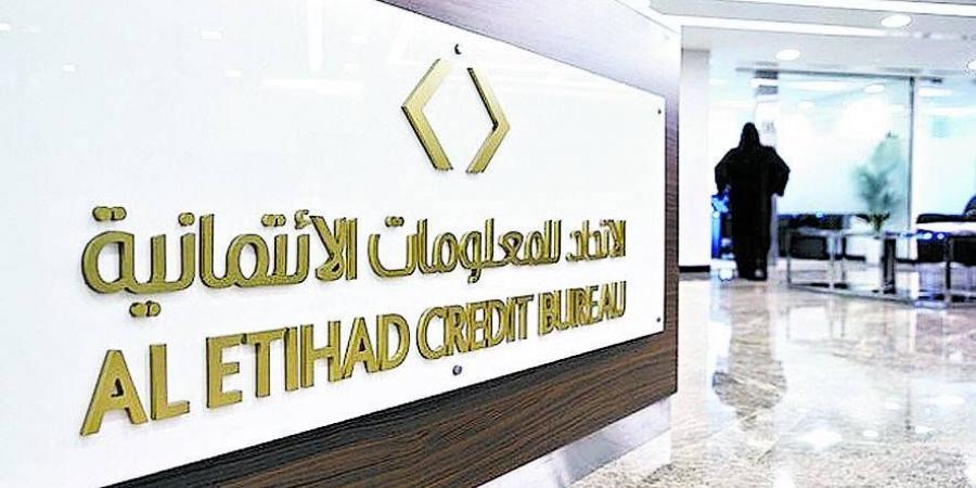 مؤشر تحصيل الشيك.. أداة لتعزيز الثقة المالية بالإمارات - هرم مصر