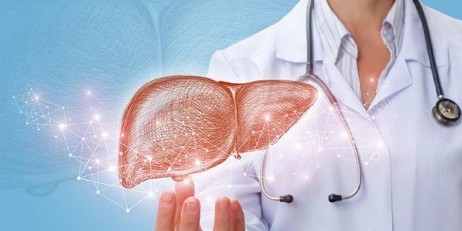 صحة الكبد بين الخرافات والحقائق الطبية - هرم مصر