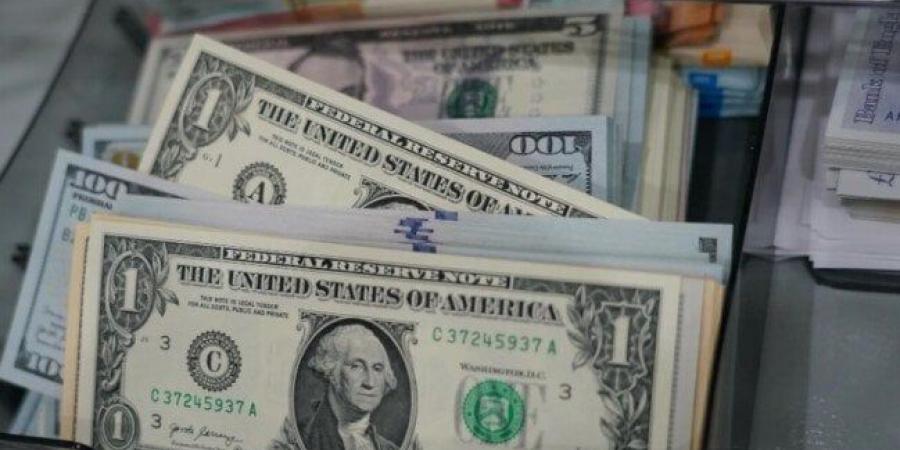 بـ 48.50 جنيه في الأهلي.. سعر الدولار اليوم الثلاثاء 19 أغسطس 2025 - هرم مصر