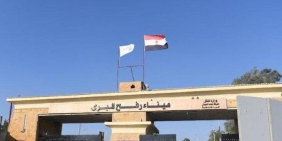 مصر تواصل إدخال المساعدات الإنسانية للفلسطينيين في غزة - هرم مصر