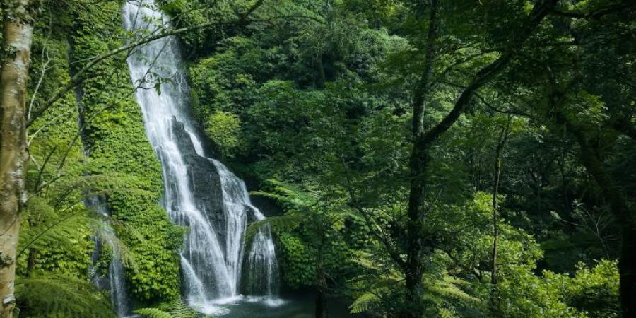 شلالات بالي.. 7 عجائب تدفعك لإعادة تعريف الجمال - هرم مصر
