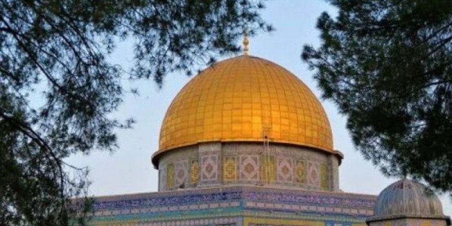 اللجنة الملكية الأردنية لشؤون القدس: ذكرى إحراق الأقصى تعيد إلى الأذهان مسلسل جرائم الاحتلال المستمرة - هرم مصر