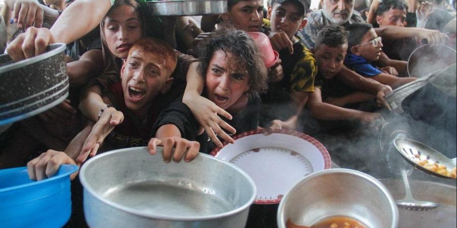 أونروا: حالات سوء التغذية بين الأطفال في غزة زادت بمقدار 3 مرات - هرم مصر