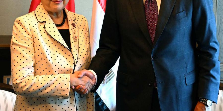مدبولى يبحث فرص التعاون مع اليابان لتطوير قطاع النقل في مصر - هرم مصر