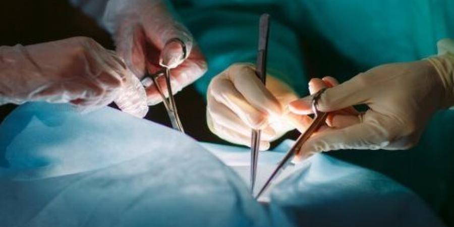 هل تتحمّل الدولة نفقات إجراء عمليات زرع الأعضاء لمن يعجزون عن السداد؟.. القانون يُجيب - هرم مصر