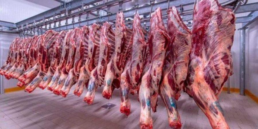 الكندوز بـ 420 جنيها.. أسعار اللحوم اليوم الخميس 21 أغسطس 2025 - هرم مصر
