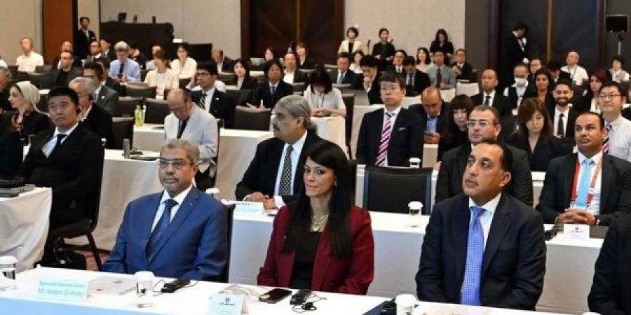 إبراهيم العربي: مشاركة مصر في تيكاد 9 باليابان التزام حقيقي للتنمية المستدامة - هرم مصر