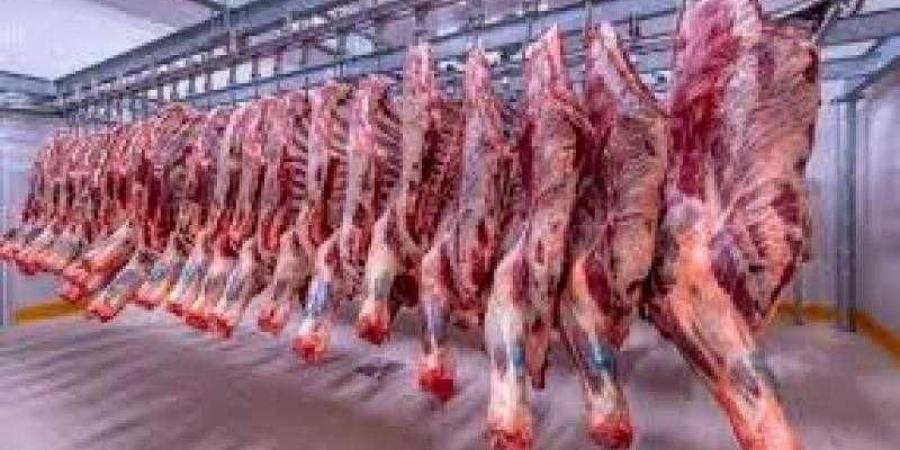 أسعار اللحوم الحمراء اليوم الخميس - هرم مصر