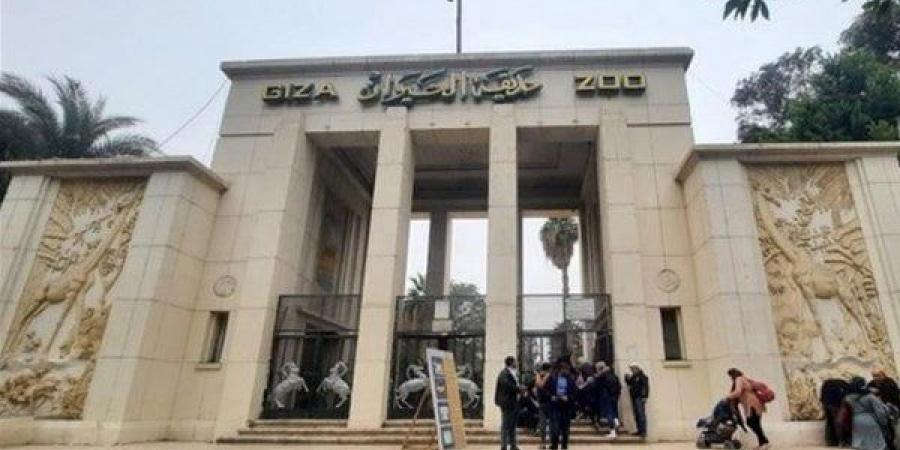 موعد افتتاح حديقة حيوان الجيزة 2025 وأسعار التذاكر.. من هي الفئات المعفية؟ - هرم مصر