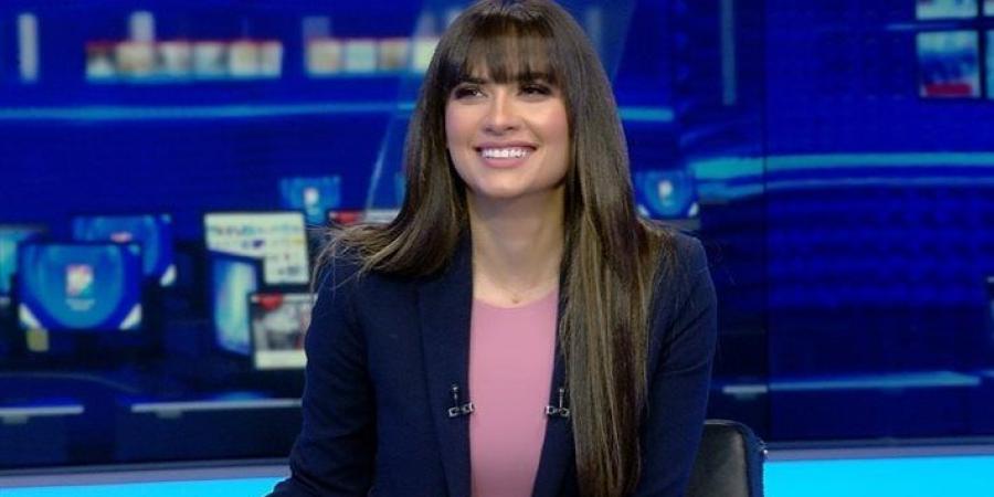 أستاذ القانون الدولي: اتفاقية فيينا تلزم الدول المضيفة بحماية كاملة للبعثات الدبلوماسية - هرم مصر