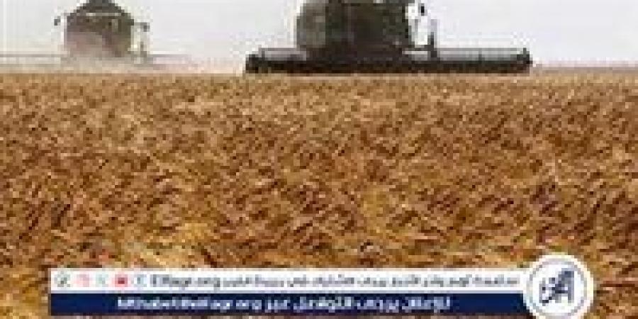 باريس: الضربات الروسية على أوكرانيا تظهر عدم وجود إرادة لإجراء محادثات سلام - هرم مصر