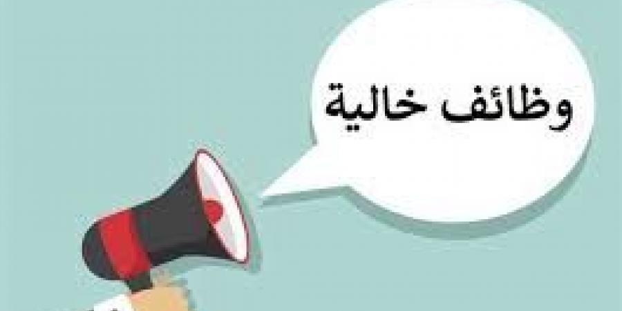 شروط التقديم بوظائف بنك القاهرة 2025 - هرم مصر