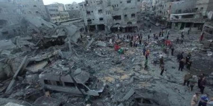 ستكون إشارة تضامن قوية.. دبلوماسى ألمانى سابق يطالب حكومة بلاده الاعتراف بدولة فلسطين - هرم مصر