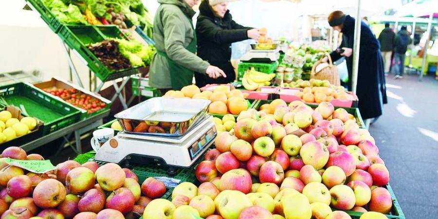 الاقتصاد الألماني ينكمش في الربع الثاني بضغط الرسوم الجمركية - هرم مصر