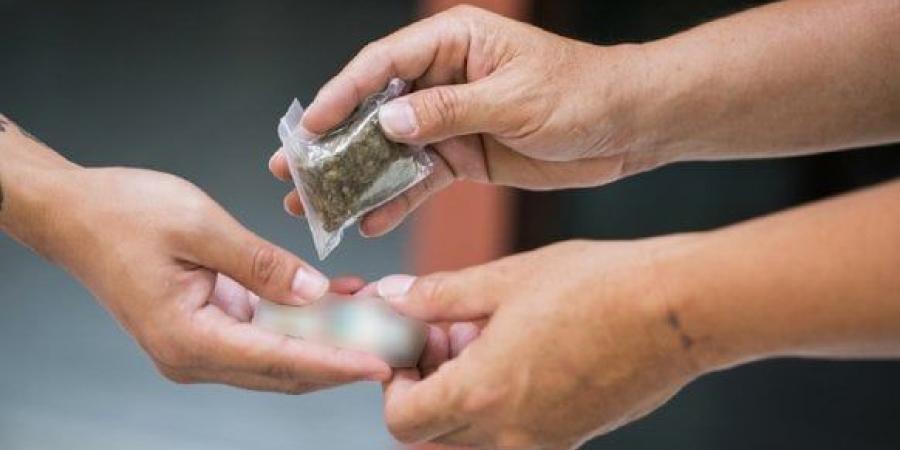 «الميديا فضحتهم».. التحقيق مع عصابة ترويج المخدرات بالمرج - هرم مصر