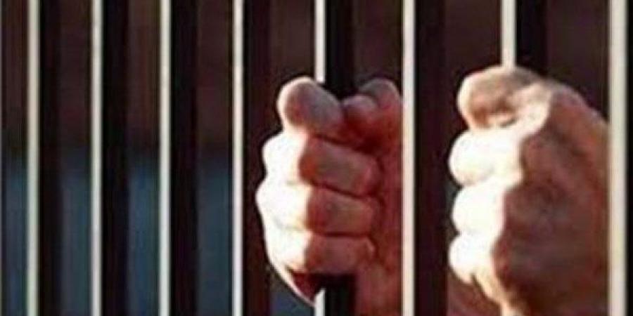 إخلاء سبيل سائق المركب واقعة غرق شاب خلال حفل عيد ميلاد بالنيل - هرم مصر