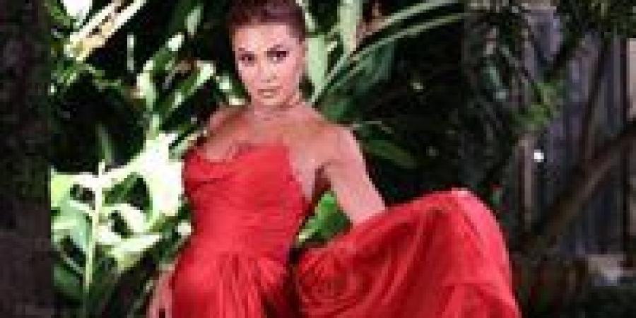 نوال الزغبي: ضحيت بالفن من أجل حماية أولادي بعد الطلاق - هرم مصر