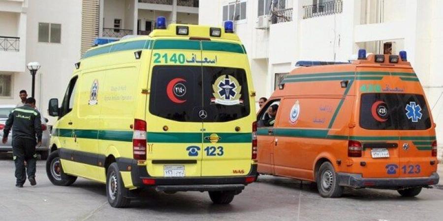 مصرع وإصابة 30 طالبا في حادث غرق بالإسكندرية.. و«الصحة» تدفع بسيارات الإسعاف إلى موقع الحادث - هرم مصر