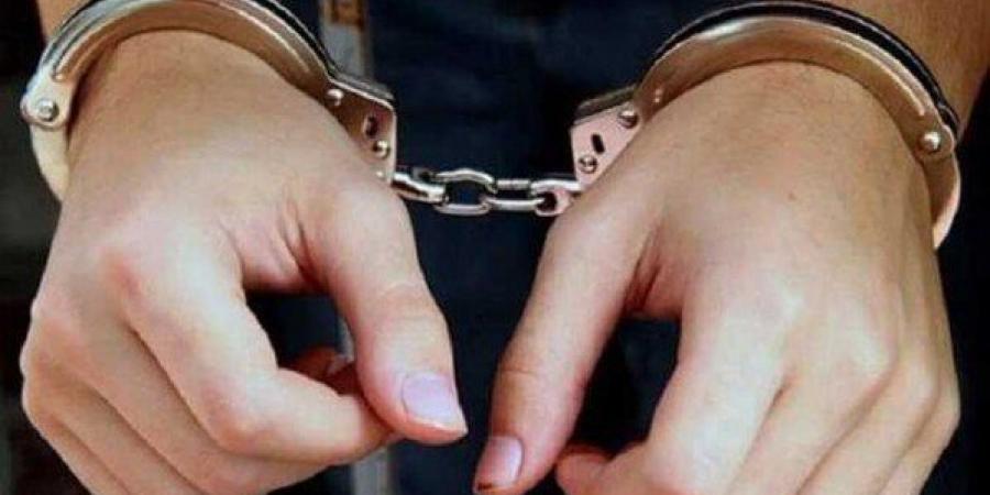 تأشيرات سفر وعقود عمل مزيفة.. سقوط المتهم بالنصب على المواطنين بالجيزة - هرم مصر