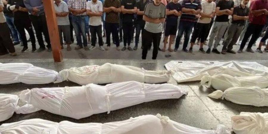 استشهاد 7 فلسطينيين جراء استهداف الاحتلال منتظري المساعدات شمال ووسط غزة - هرم مصر