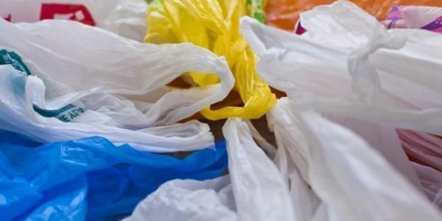 جهاز شئون البيئة: الأكياس البلاستيكية تشكل مخاطر جسيمة على البيئة - هرم مصر