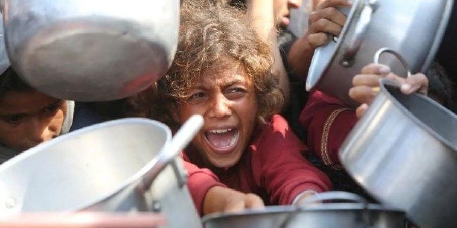 مستشفيات غزة: 19 شهيدا بنيران الاحتلال منذ فجر اليوم.. و11 بسبب المجاعة - هرم مصر
