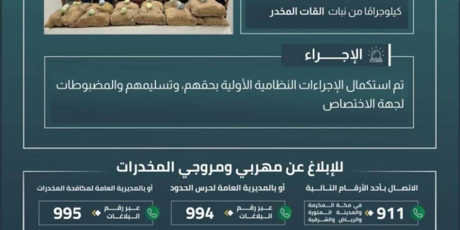حرس الحدود بجازان يقبض على 10 مخالفين لنظام أمن الحدود لتهريبهم 260 كلجم من نبات القات المخدر - هرم مصر