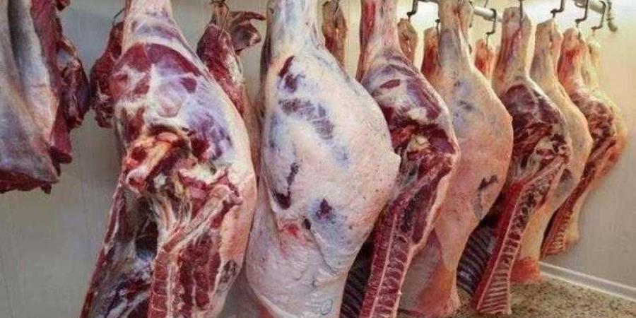 أسعار اللحوم الحمراء اليوم الثلاثاء - هرم مصر