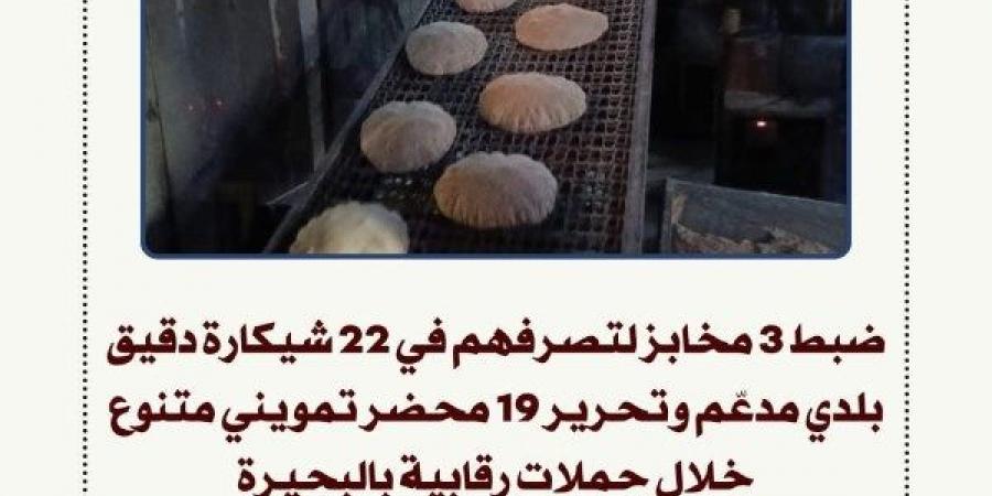 تموين البحيرة: ضبط 3 مخابز تصرفت في 22 شيكارة دقيق بلدي مدعّم - هرم مصر