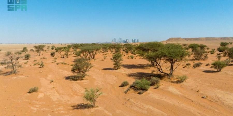 الاستعداد للجفاف مبادرة لتعزيز استدامة البيئة - هرم مصر