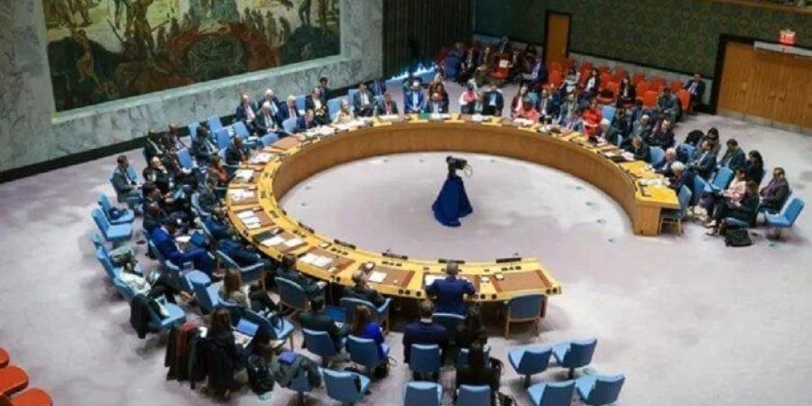 مجلس الأمن يعقد إحاطته الشهرية المفتوحة عن فلسطين والشرق الأوسط - هرم مصر