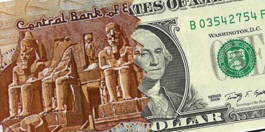 عقب ارتفاعه.. أعلى سعر لصرف الدولار الآن - هرم مصر