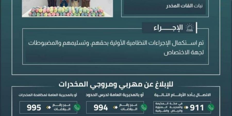 حرس الحدود بجازان يقبض على 4 مخالفين لنظام أمن الحدود لتهريبهم 72 كيلوجرامًا من نبات القات المخدر - هرم مصر