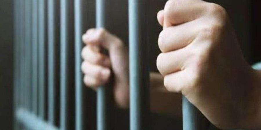حبس 3 عاطلين بتهمة الاتجار في المخدات بالبحيرة - هرم مصر