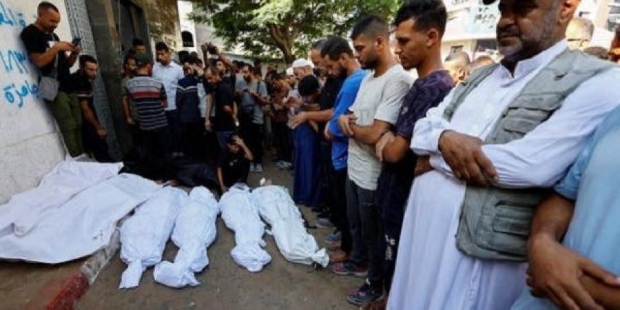 غزة مش للبيع - هرم مصر
