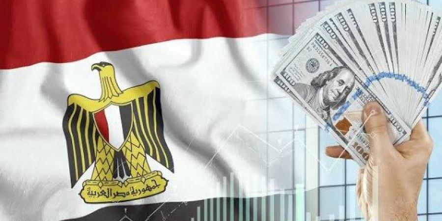 خبير اقتصادي: مصر باتت بوابة الدخول الحقيقية إلى السوق الإفريقي - هرم مصر