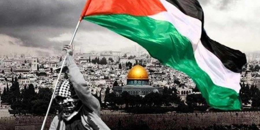 أستاذ علوم سياسية: أمريكا تعرقل تحركات الاعتراف بفلسطين - هرم مصر
