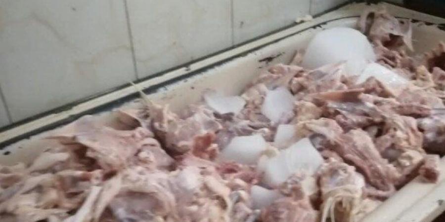 ضبط 2.3 طن دواجن مجهولة المصدر بشبرا الخيمة - هرم مصر