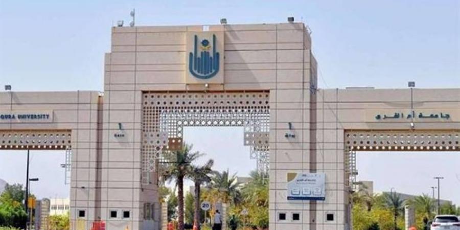 أم القرى تحصل على رخصة حاضنة ومسرعة أعمال - هرم مصر