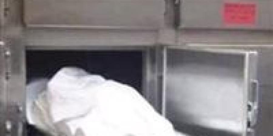 قرار النيابة العامة في واقعة مقتل شخص في عرب الشيخ محمد بالمنيا - هرم مصر