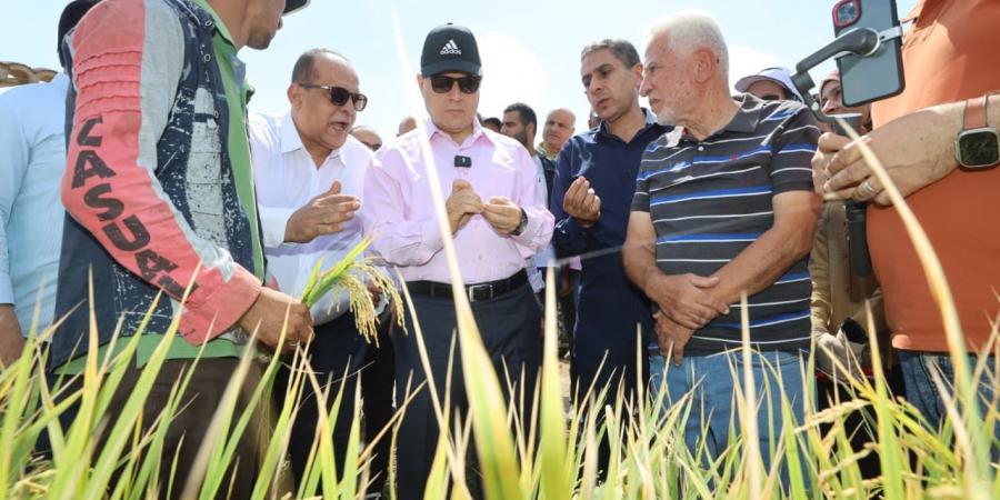 محافظ كفرالشيخ يشهد انطلاق موسم حصاد الأرز بقرية إبشان ببيلا - هرم مصر