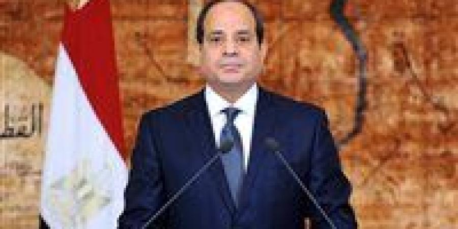 صحة الشيوخ: الرئيس السيسي في قمة البريكس جدد دعم مصر الثابت لحق الشعب الفلسطيني - هرم مصر