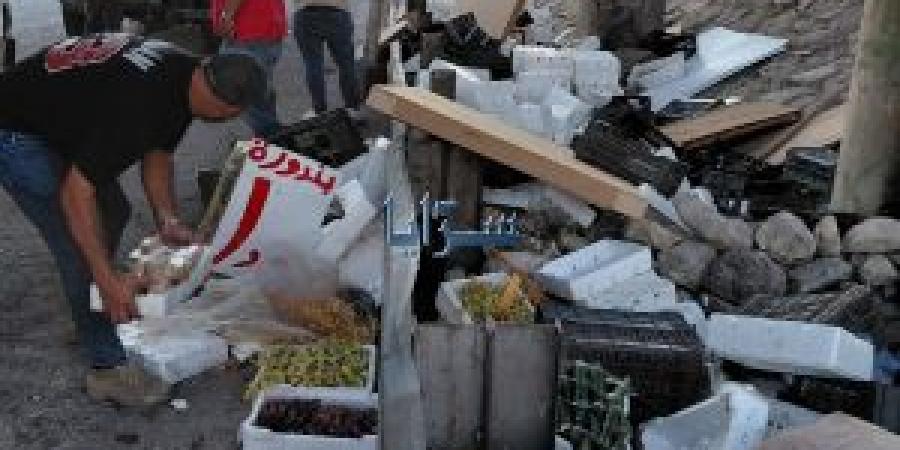 بلدية الزرقاء تنفذ حملة لإزالة المعرشات قرب جسر الكلية العسكرية .. فيديو وصور - هرم مصر