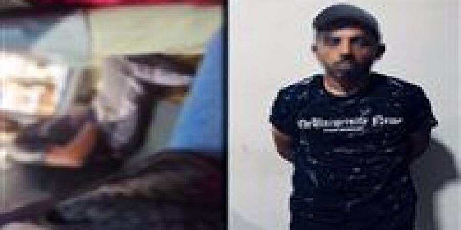 القبض على عاطل قام بأفعال خادشة للحياء أثناء استقلاله سيارة ميكروباص في دمياط - هرم مصر