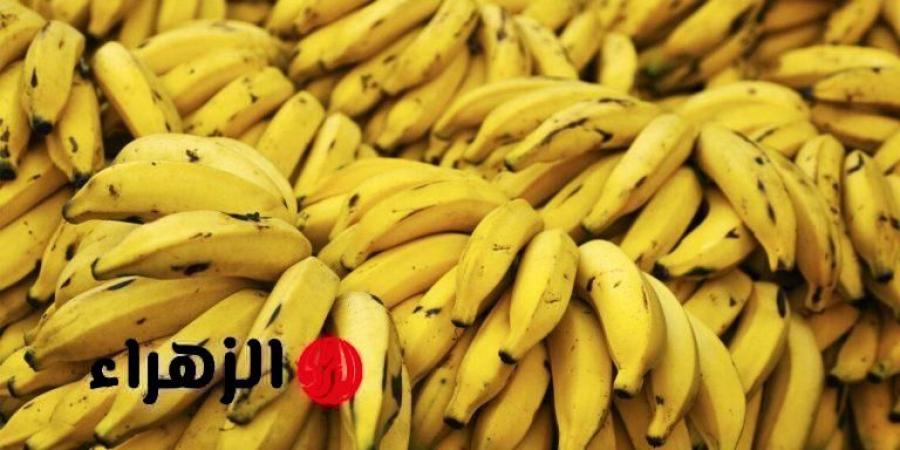 «هتندم ندم عمرك لو كلته تاني».. عالمان يكشفان عن مفاجأه بشأن خطورة الموز || توقف عنه بسرعة - هرم مصر