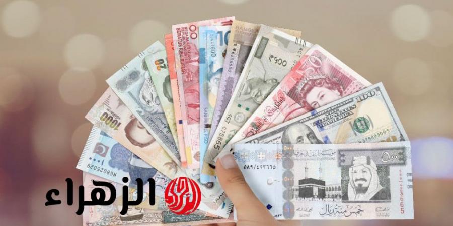 أسعار العملات الاجنبية والعربية اليوم الخميس 2025/9/11 في البنوك والسوق السوداء في مصر - هرم مصر