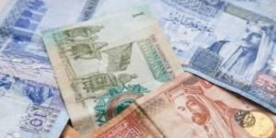 متقاعدون مدنيون يطالبون الحكومة بتطبيق الزيادة السنوية المقرّة بالقانون - هرم مصر