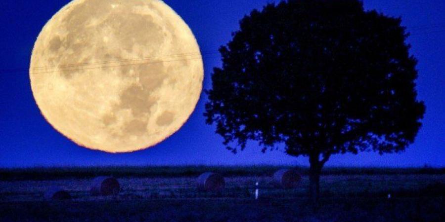 ماذا يحدث.. القمر اليوم إضاءته أقل من 80% - هرم مصر